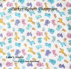 Parker Robert Thompson book cover