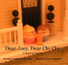Dear Joey, Dear Chi Chi A Story in Letters Words by Sallianne Norelli Photos by Joey Spatafore book cover