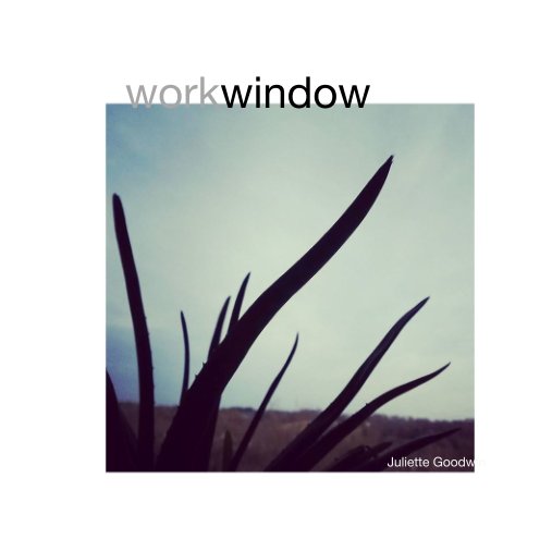 View workwindow by Juliette Goodwin