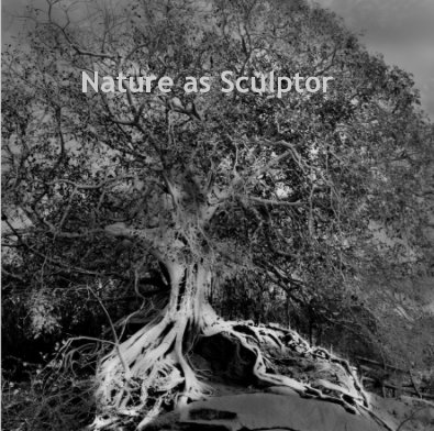 Nature as Sculptor book cover