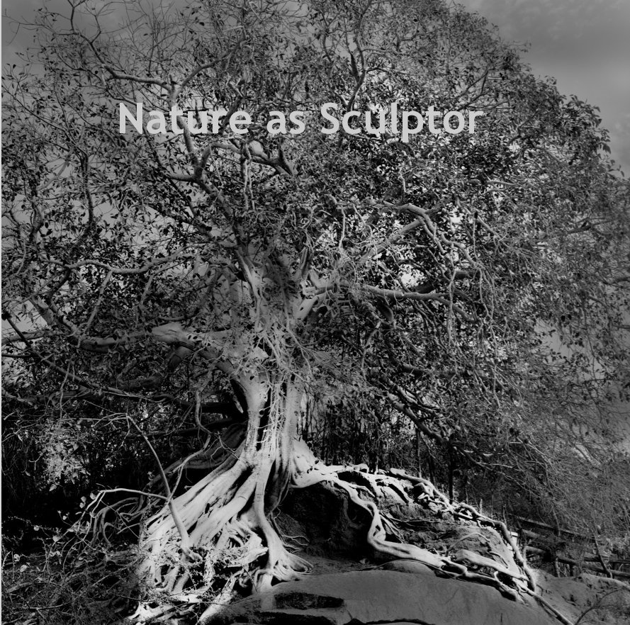 View Nature as Sculptor by Brigitte Thieme