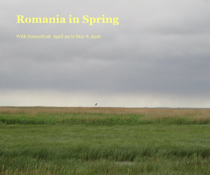 View Romania in Spring by Sally Vogel