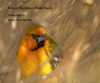 Birds of the Gilbert Water Ranch book cover