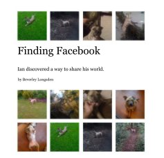 Finding Facebook book cover