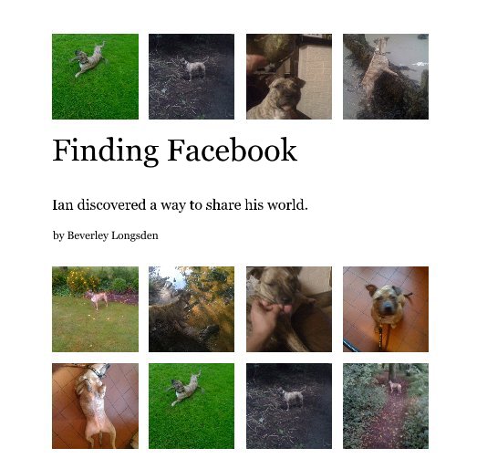 View Finding Facebook by Beverley Longsden