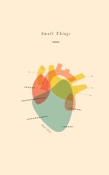Small Things book cover