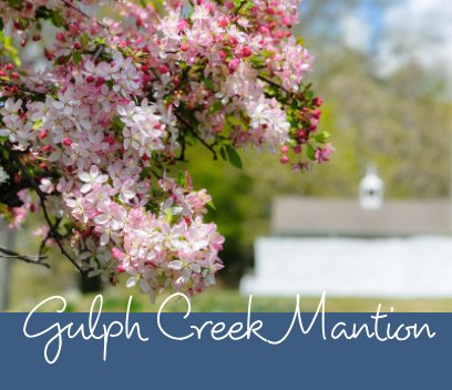 Gulph Creek Mantion book cover