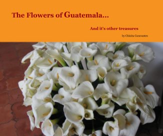 The Flowers of Guatemala... book cover