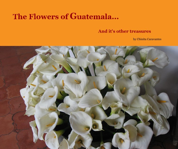View The Flowers of Guatemala... by Chinita Caravantes