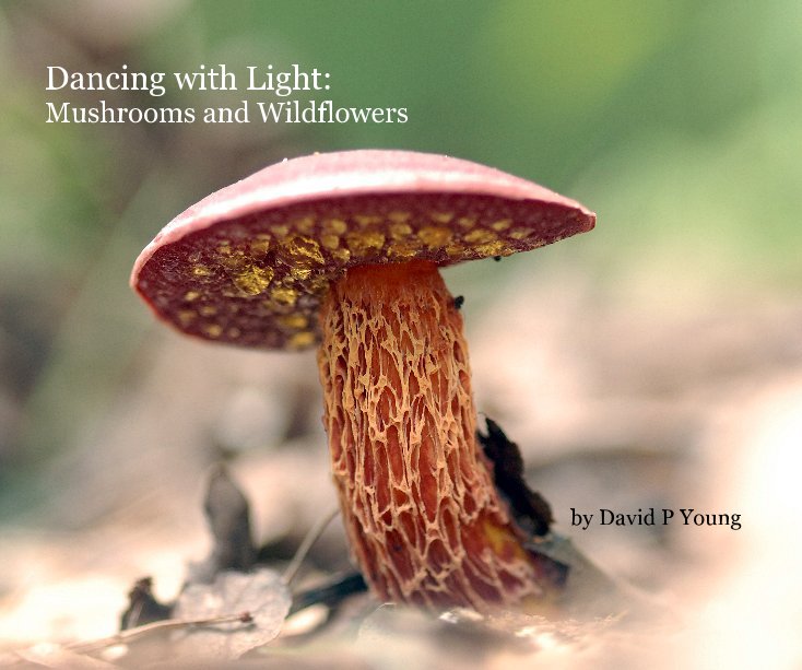 View Dancing with Light: Mushrooms and Wildflowers by David P Young