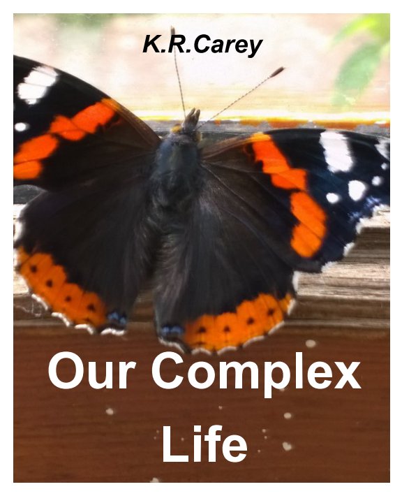 View Our Complex Life by K R Carey
