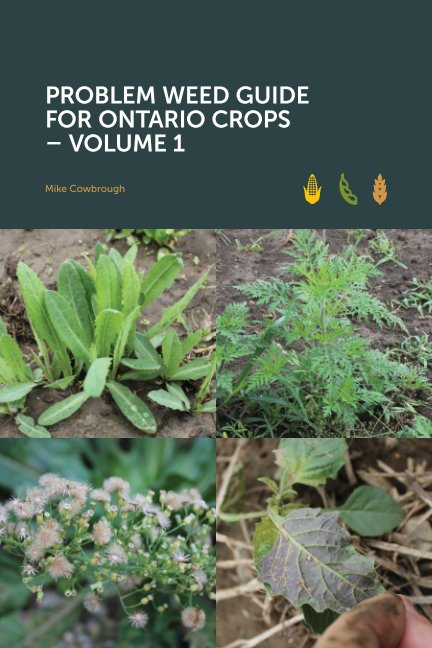 View Problem Weed Guide for Ontario Crops – Volume 1 by Mike Cowbrough