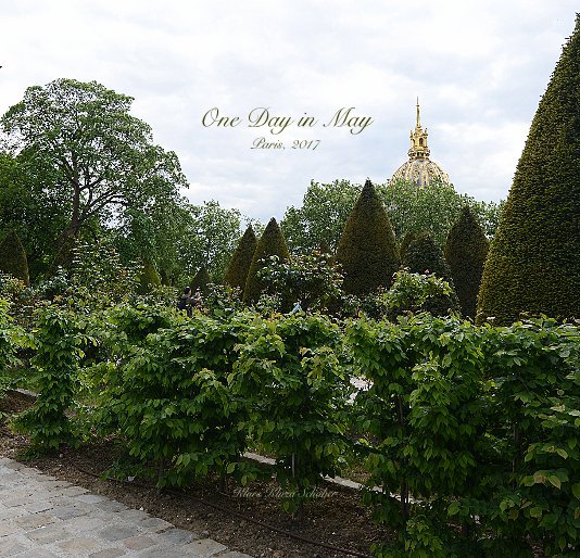 View One Day in May by Klare Kluza Schober