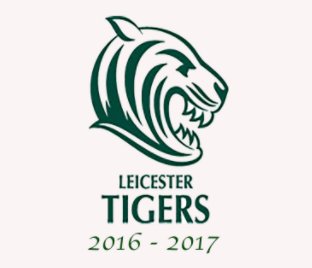 Tigers 2016/17 book cover