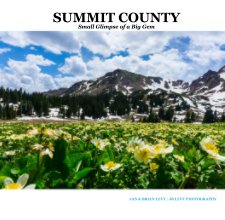 SUMMIT COUNTY  Small Glimpse of a Big Gem book cover