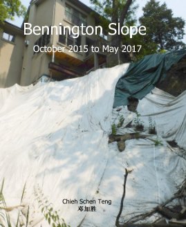 Bennington Slope book cover