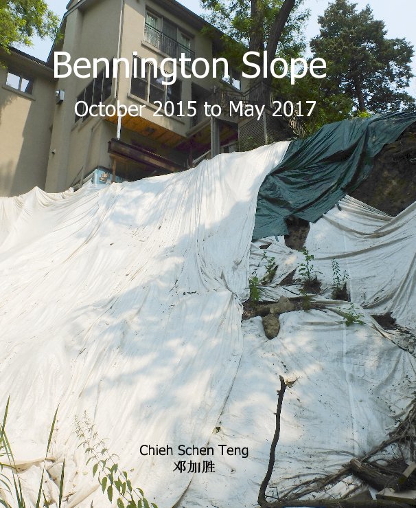 Visualizza Bennington Slope di Chieh Schen Teng 邓加胜