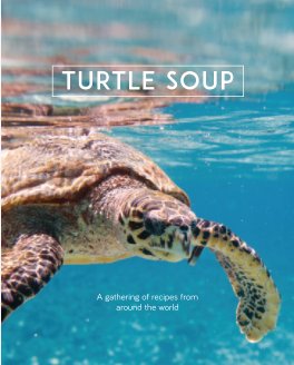 Turtle Soup book cover
