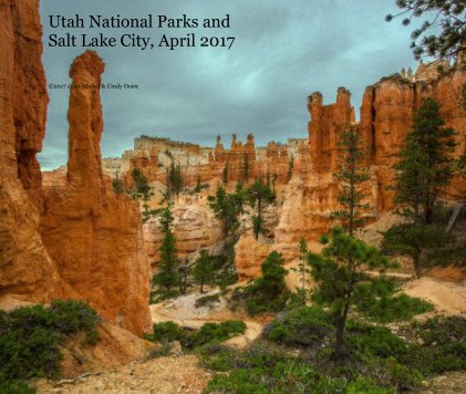 Utah National Parks and Salt Lake City, April 2017 book cover