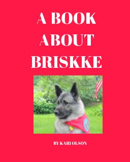 A BOOK ABOUT BRISKKE book cover