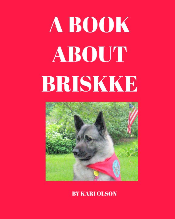 Bekijk A BOOK ABOUT BRISKKE op KARI OLSON