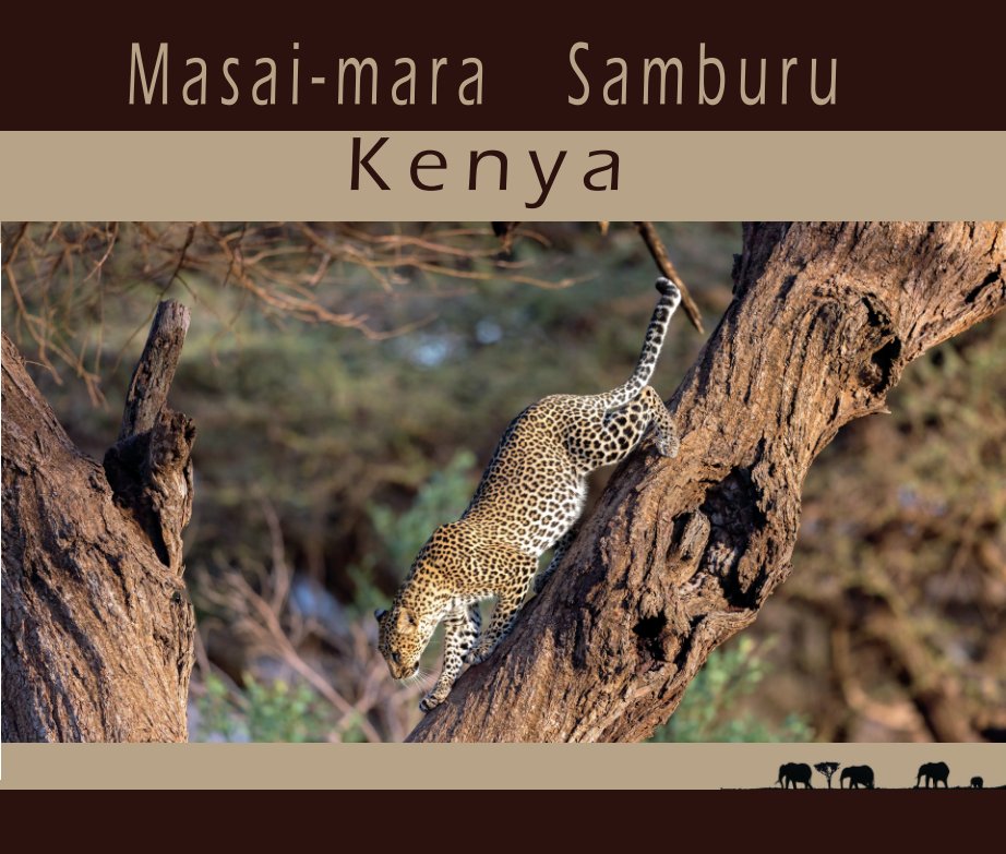 View Cover Masai Mara 2017 by P. Le Strat