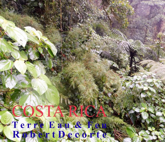 View COSTA RICA 1 by Robert Decorte