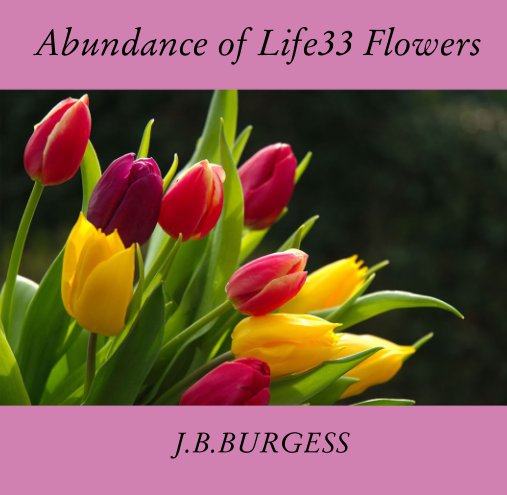 Abundance of Life33 Flowers nach J B BURGESS anzeigen