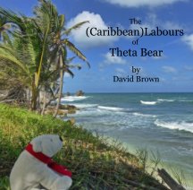 The (Caribbean) Labours of Theta Bear book cover