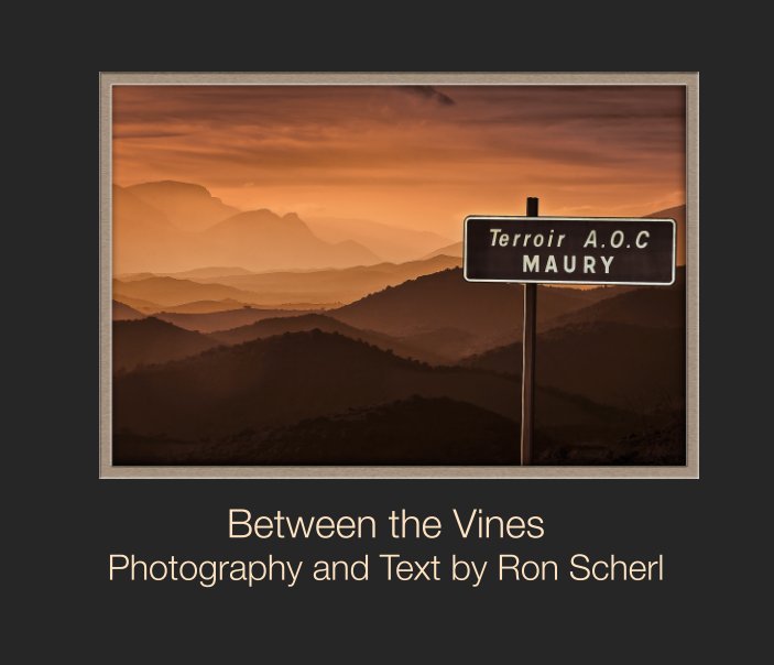 View Between the Vines by Ron Scherl
