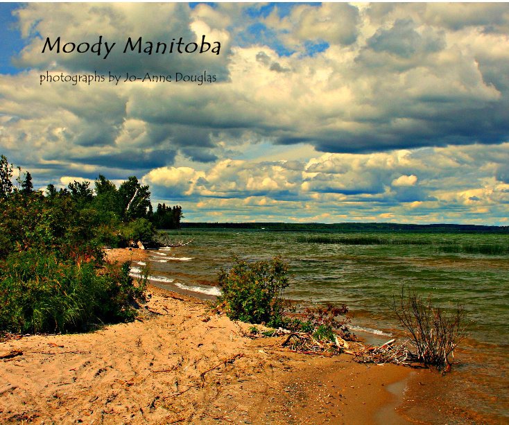 View Moody Manitoba by Jo-Anne Douglas