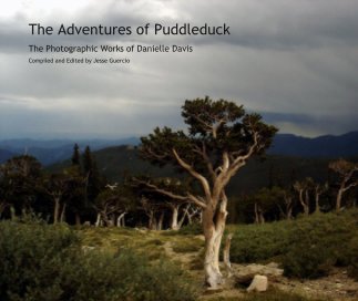 The Adventures of Puddleduck book cover
