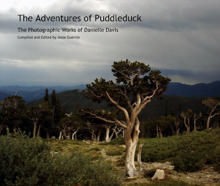 Ver The Adventures of Puddleduck por Compiled and Edited by Jesse Guercio
