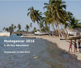 Madagascar 2016 book cover