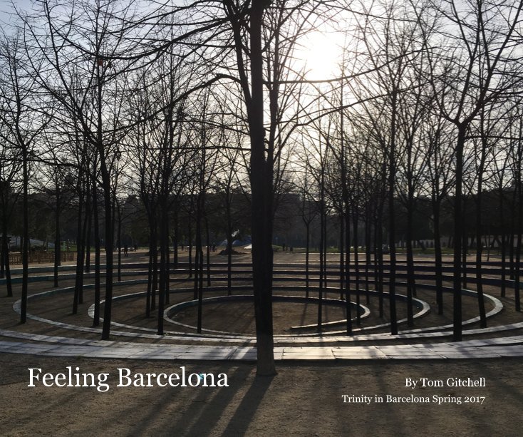 View Feeling Barcelona by Tom Gitchell