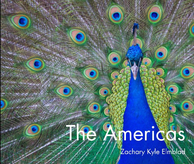 View The Americas by Zachary Kyle Elmblad