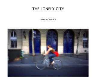 THE LONELY CITY book cover