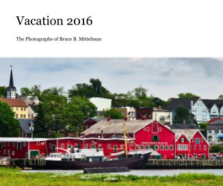 Vacation 2016 book cover