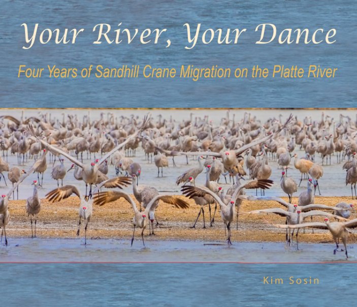 Visualizza Your River, Your Dance di Kim Sosin