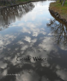 Gentle Water book cover