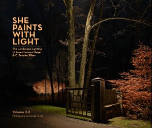 She Paints with Light volume 2.8 book cover