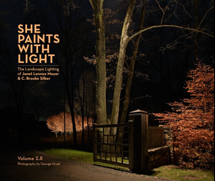 Ver She Paints with Light volume 2.8 por Jan Moyer & Brooke Silber