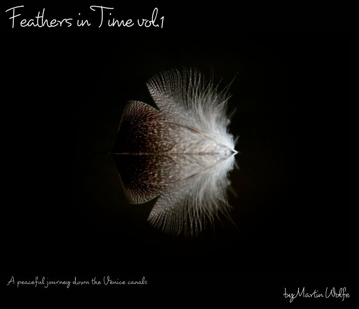 Bekijk Feathers in Time op martin wolfe