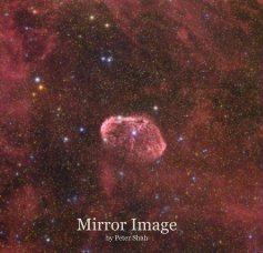 Mirror Image by Peter Shah book cover