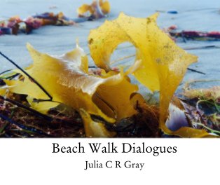 Beach Walk Dialogues book cover