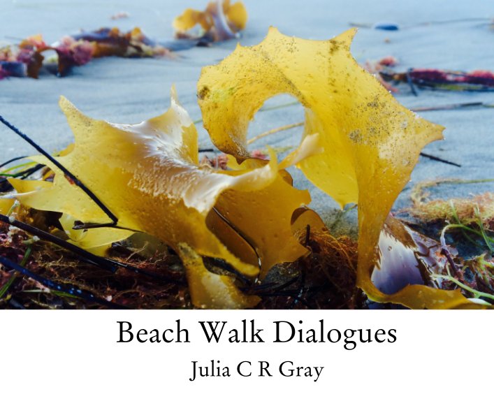 View Beach Walk Dialogues by Julia C R Gray