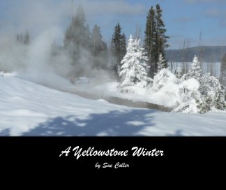 A Yellowstone Winter book cover