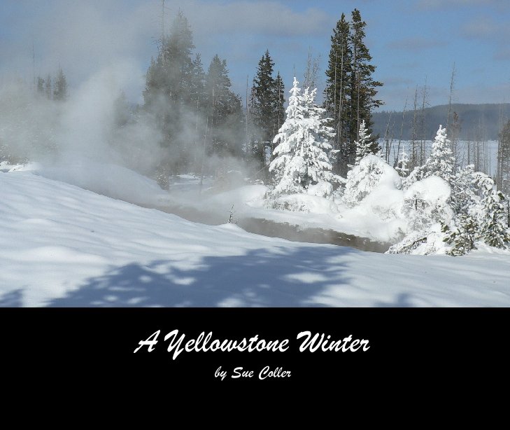 View A Yellowstone Winter by Sue Coller