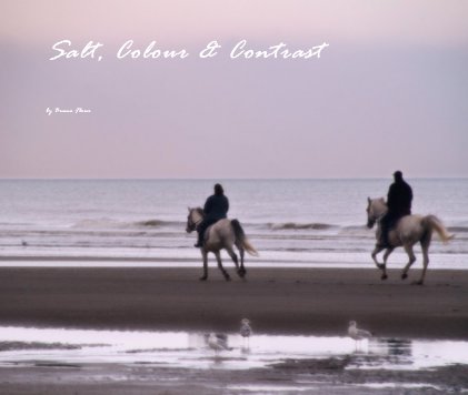 Salt, Colour & Contrast book cover