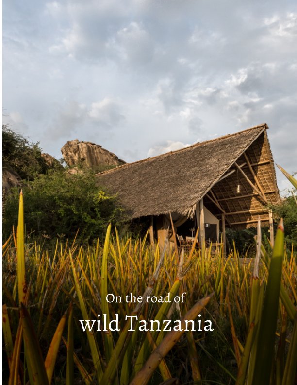 View On the road of wild Tanzania by Mathieu O